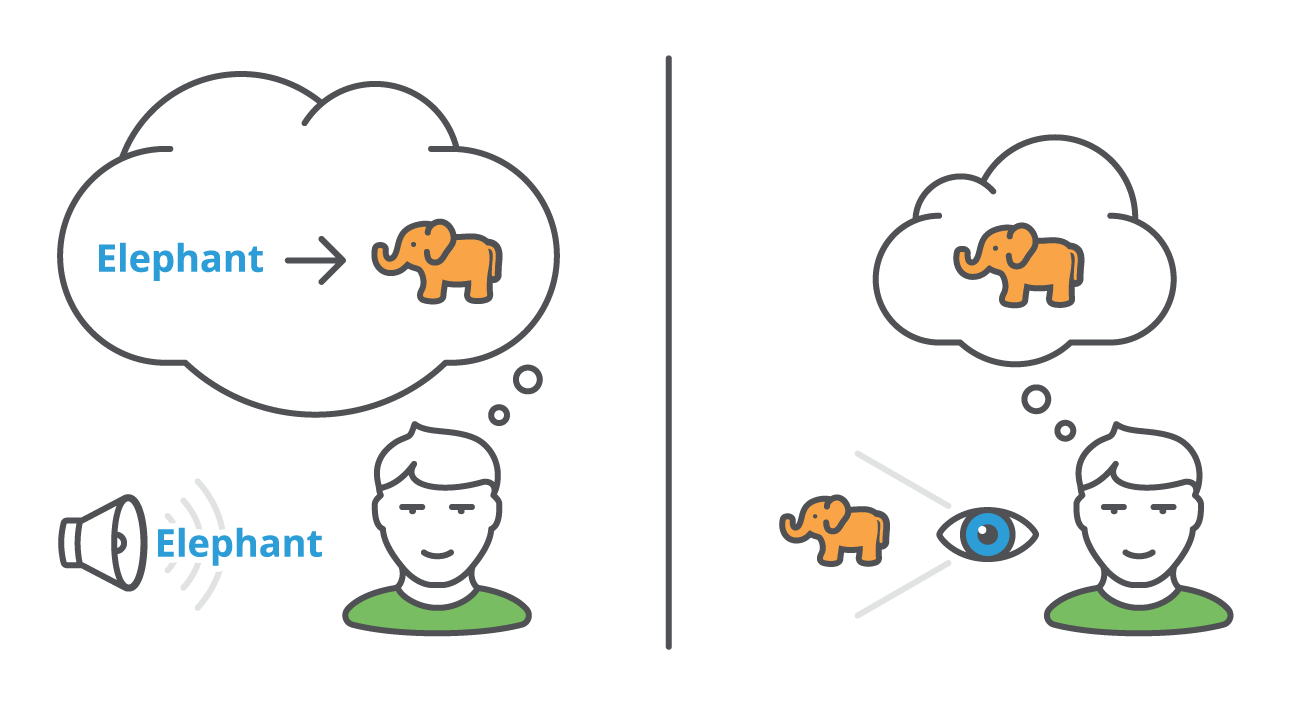 ST_Elephant-Graphic